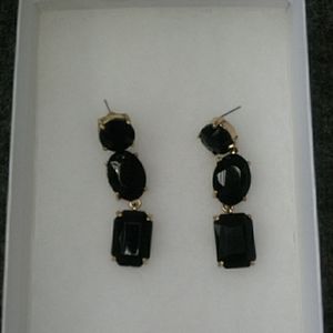 Beautiful Black Long Earrings
